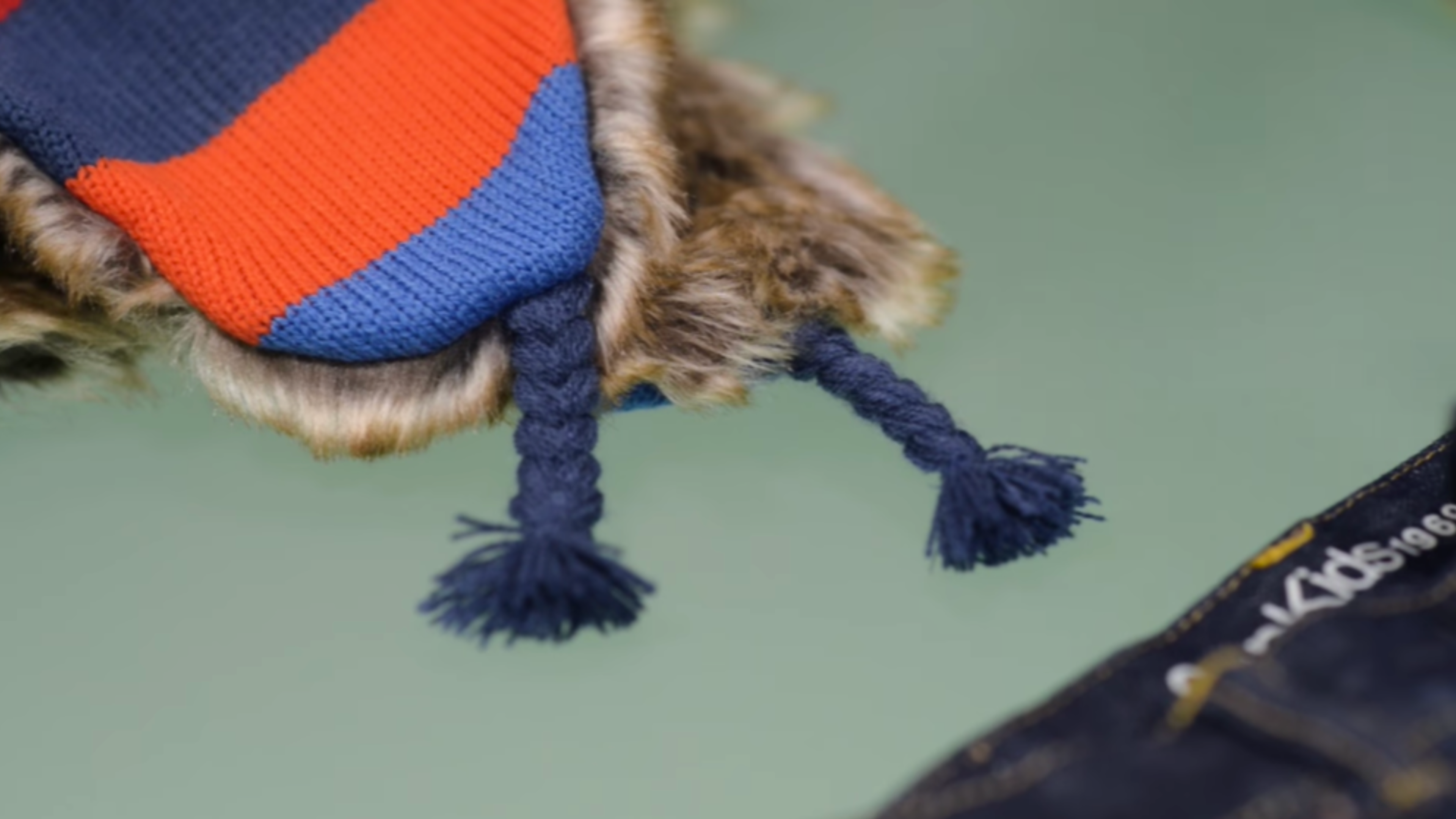 kidswear-flat lay-photo.png.png