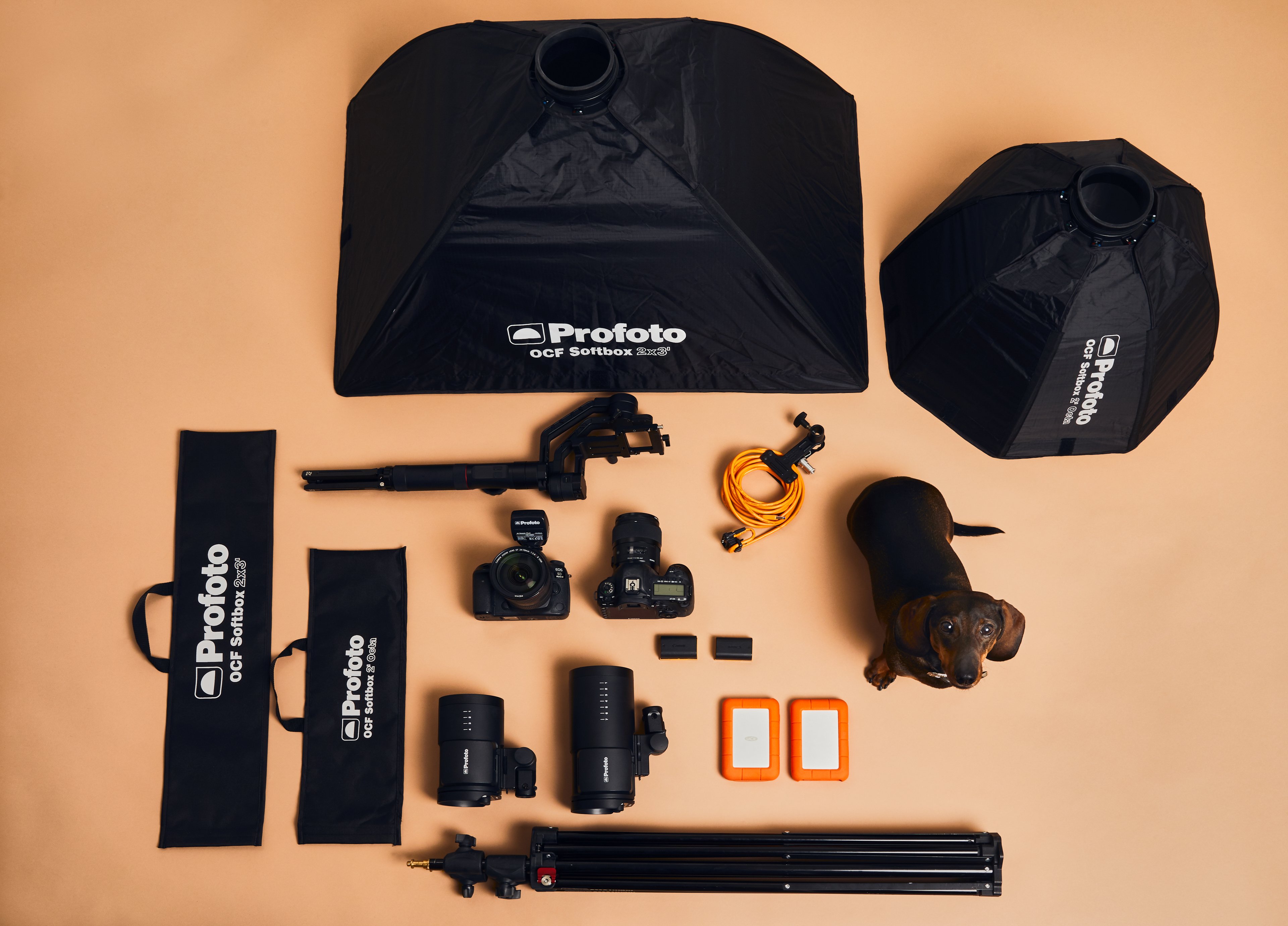 Profoto_EmilyDahlBTS_0 92 1 1_3840.jpg